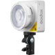 Godox ML100 Bi kits2 portable led light